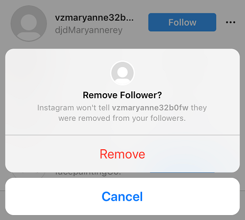 Removing Instagram ghost follower